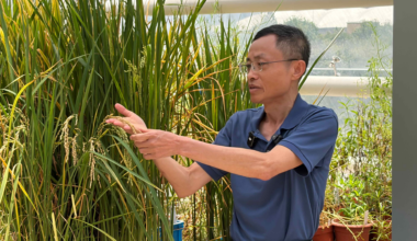 Shanghai boosts basic research, producing more original results - news.cgtn.com
