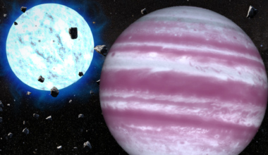 'Stellar death is not the end': James Webb Space Telescope glimpses the fate of the solar system in a weird exoplanet orbiting a dead star
