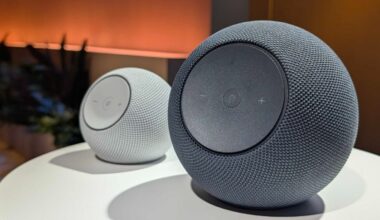 The AI Voice Assistant Arms Race Is Far From Over