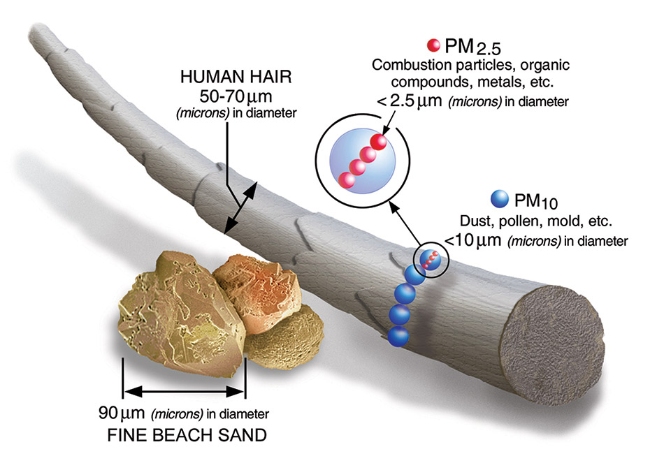 Air Pollution Connected to Parkinson's Disease Risk in Meta-Analysis