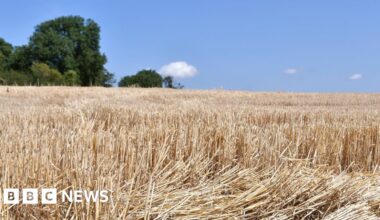 The West is in drought - what does that really mean? - bbc.com