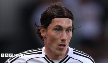 Harry Wilson in action for Fulham
