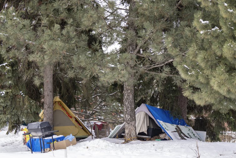 tents surrounded by trees in a snowy area