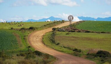 Will El Niño drought hit food prices in South Africa? Earlier rains and grain stocks offer hope