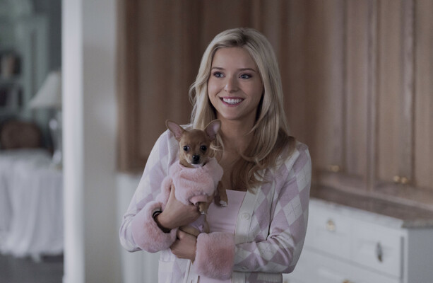 What you need to know about the Legally Blonde prequel Elle