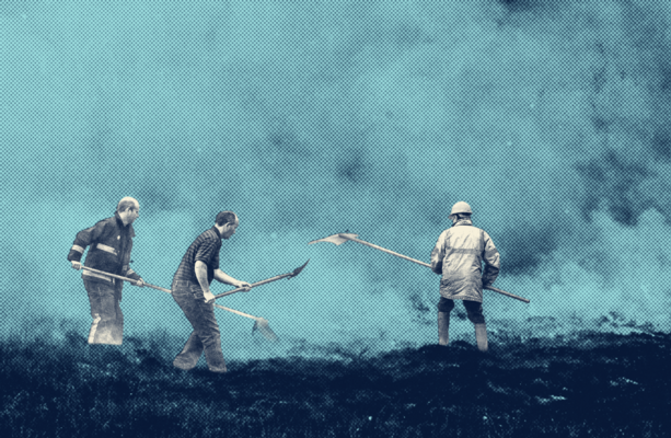 Ireland has one of Europe’s highest rates of wildfire overlap with protected nature sites