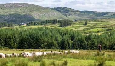Planning laws: Rural Ireland needs young families to stay there, otherwise it won't survive
