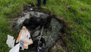 Gardaí and NSPCA investigate alleged burning of dog in Ballymun after remains discovered - The Journal