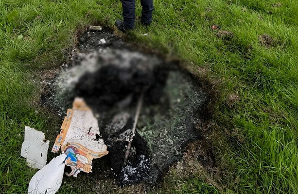 Gardaí and NSPCA investigate alleged burning of dog in Ballymun after remains discovered - The Journal