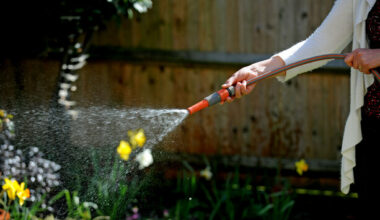 Authorities issue advice on staying safe and conserving water during the hot weather - The Journal