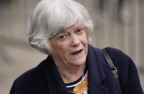 Man (28) arrested on suspicion of the murder of Ann Widdecombe - The Journal