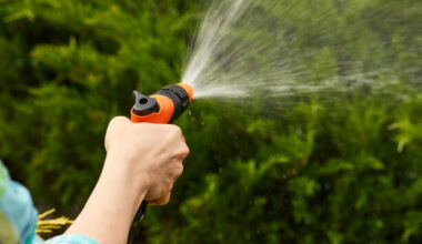 Six-week hosepipe ban to be imposed in Dublin and five other counties from Thursday