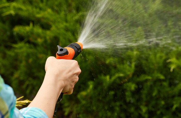Six-week hosepipe ban to be imposed in Dublin and five other counties from Thursday