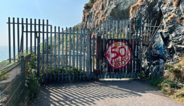 Bray-Greystones cliff walk barriers have injured more people than the landslides have, TD says