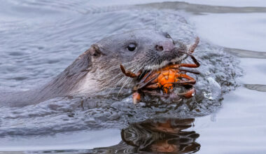 Photographers behind pictures of Ireland's coast and waterways honoured in Dublin - The Journal