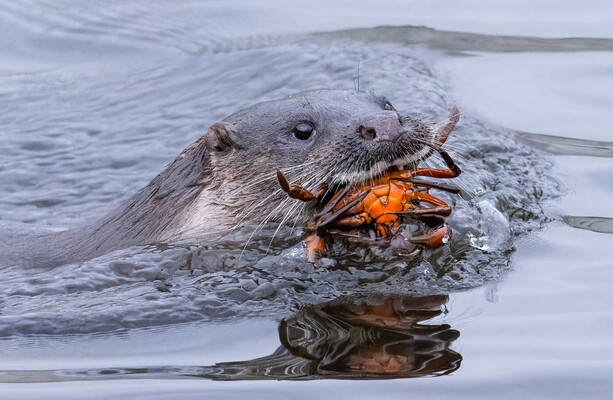 Photographers behind pictures of Ireland's coast and waterways honoured in Dublin - The Journal