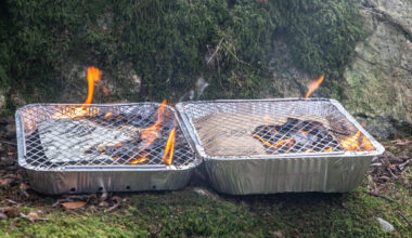 Tesco pulls disposable barbecues from all Irish stores after government raised wildfire concerns