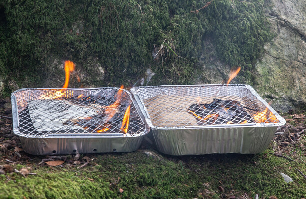 Tesco pulls disposable barbecues from all Irish stores after government raised wildfire concerns
