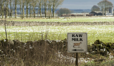Kelly Earley: There are dog whistles behind conversations about ‘raw’ milk - The Journal