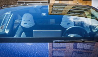 Can everyone please stop buying those balaclava headrests for their cars?