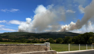 Has the type of tree planted on Slievenamon made this week's wildfires worse?