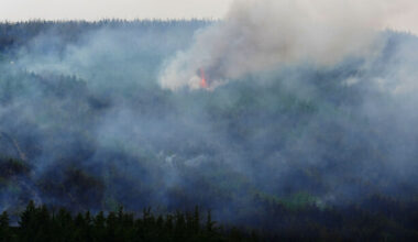 Advisory issued as significant smoke flare-up reported in the Kilcash area of Slievenamon