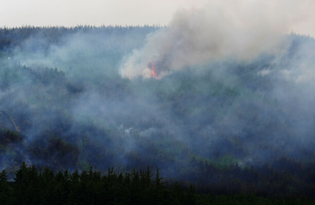 Advisory issued as significant smoke flare-up reported in the Kilcash area of Slievenamon