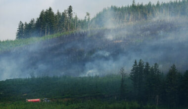 Wildfires at home and abroad: The climate crisis is here, and Ireland is far from prepared