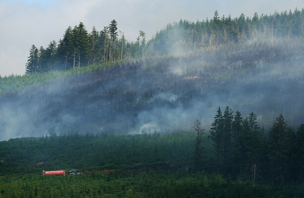 Wildfires at home and abroad: The climate crisis is here, and Ireland is far from prepared