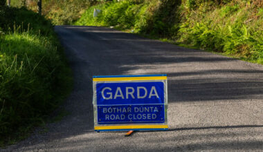 Gardaí appeal for witnesses after a man (50s) dies in a single-vehicle crash in Clare