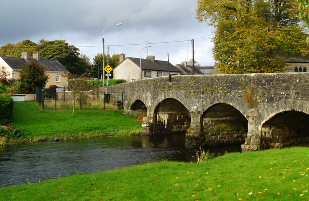 More than 4,500 fish found dead in major river kill in Co Cavan
