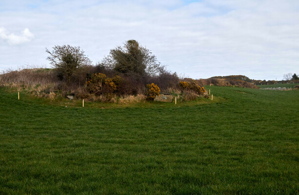 Ireland should embrace being the land of the piseog · TheJournal.ie