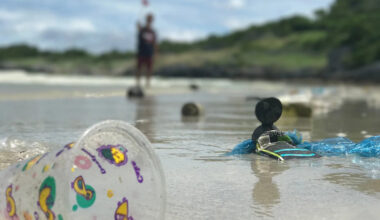 Ocean microplastics carry 'memory' of their movement, study finds