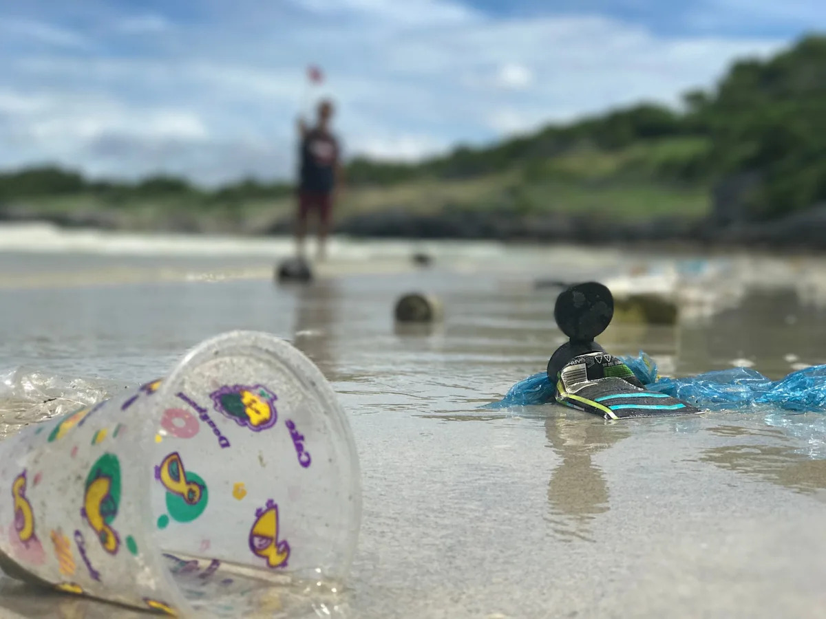 Ocean microplastics carry 'memory' of their movement, study finds