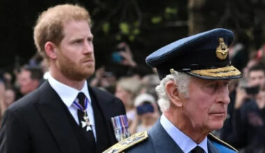 Prince Harry’s New Approach to King Charles Is Being Viewed Differently — Insider