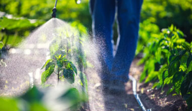 Six children in a wealthy suburb developed rare cancers. Authorities are eyeing pesticides