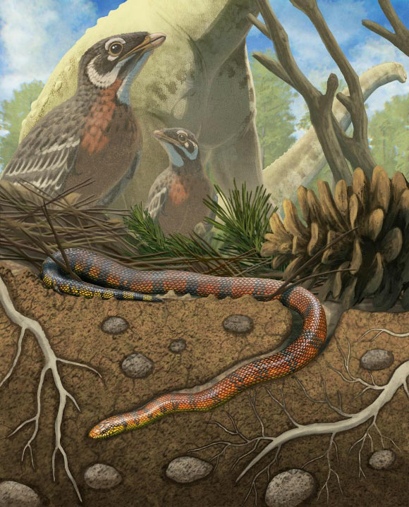 Life reconstruction of Tametara mirim. Image credit: Gabriel Ugueto.