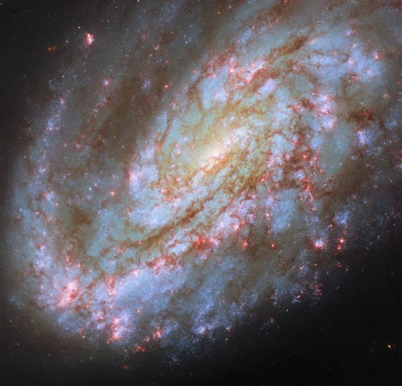 This Hubble image shows NGC 4654, an intermediate spiral galaxy some 55 million light-years away in the constellation of Virgo. Image credit: NASA / ESA / Hubble / D. Thilker / J. Lee / PHANGS-HST Team.