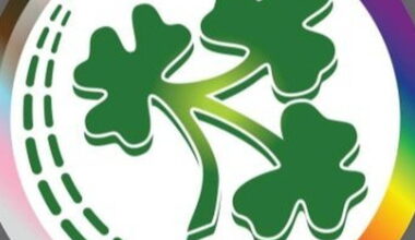 Ireland engage former England international in consultancy capacity