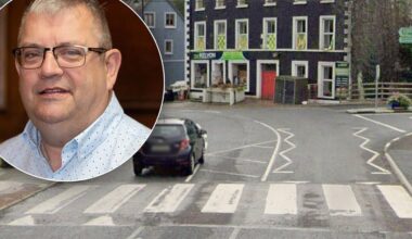 ‘It’s just too much' - Councillors blast €20K cost of traffic ramps