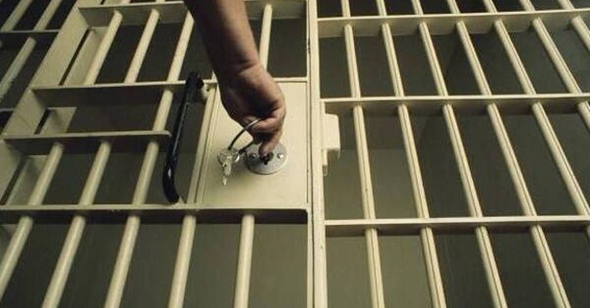 Jail for serial flasher business student who 'traumatised' woman