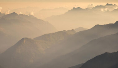 The Total Portfolio Approach: The Dog Has Caught the Bus