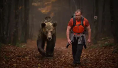 Are humans really the ultimate super-predator?