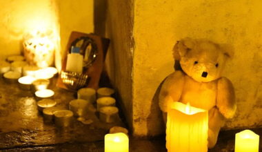 Mother of Parnell Square attack victim ‘does not feel anger’ towards Bouchaker