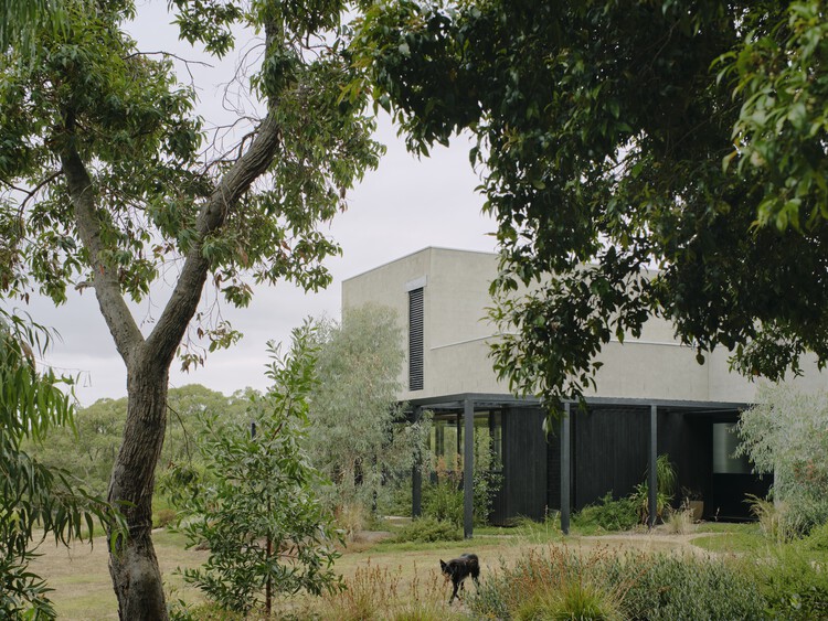 No.41 House / Tristan Burfield - Exterior Photography