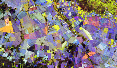 NISAR L-Band Data Released, Expanding Record of Surface Changes