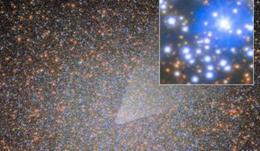 A Missing Black Hole Was Found Hiding in a Giant Star Cluster. Astronomers Think There Could Be Thousands More