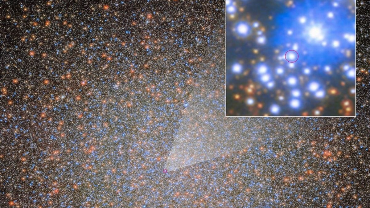 A Missing Black Hole Was Found Hiding in a Giant Star Cluster. Astronomers Think There Could Be Thousands More