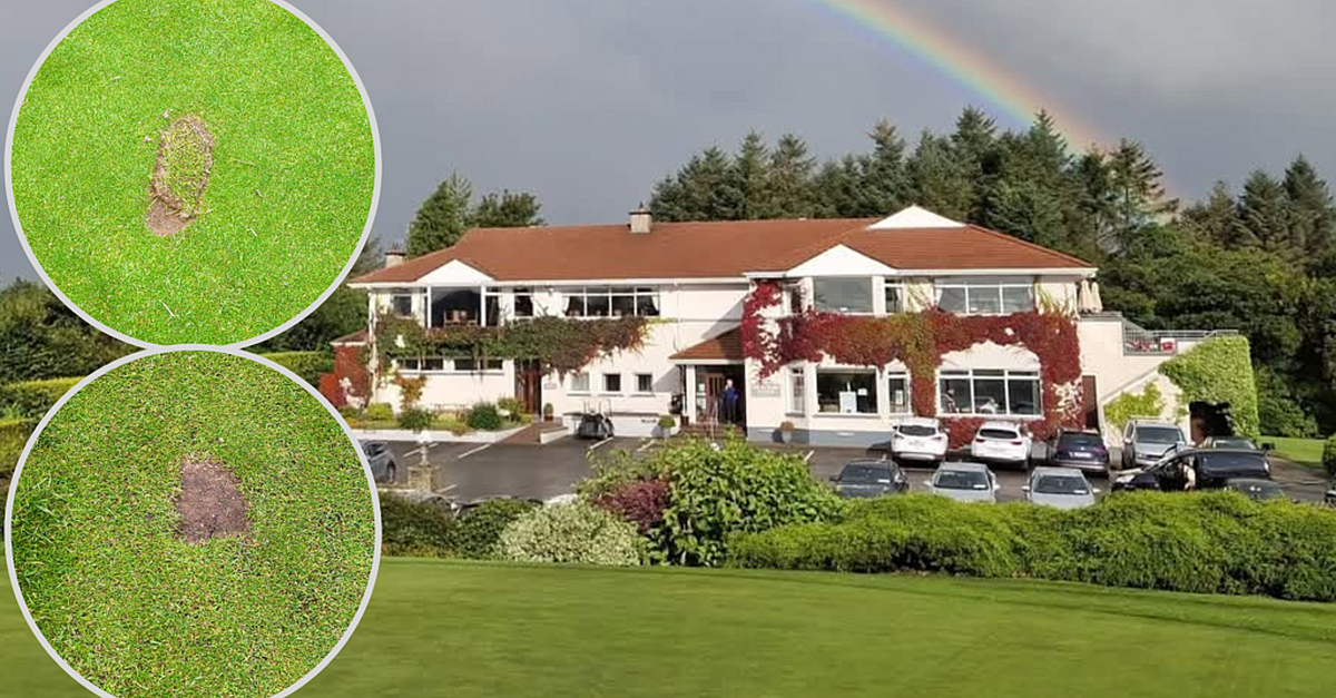 Outrage after vandals target prized green at golf club