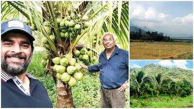 R Madhavan turns barren land into lush coconut farm in Tamil Nadu; 3-year eco-friendly project brings back biodiversity, actor plans expansion across India